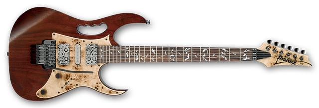 JEM77WDP Side View guitar-rigs